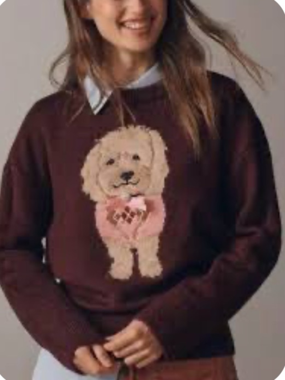 anthropologie maeve dog sweater new xs - Picture 1 of 6